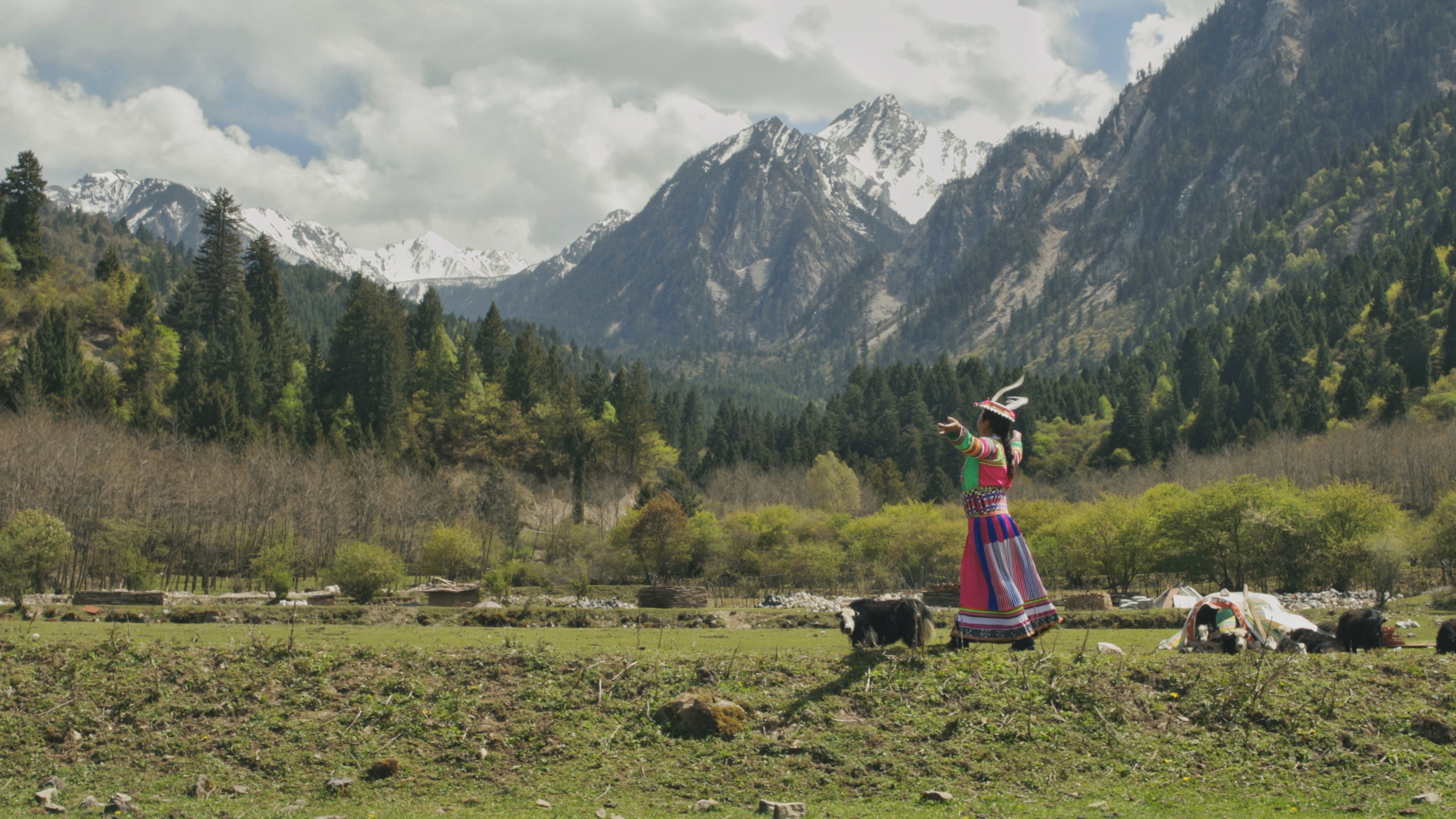 "White Feather Flying" stills