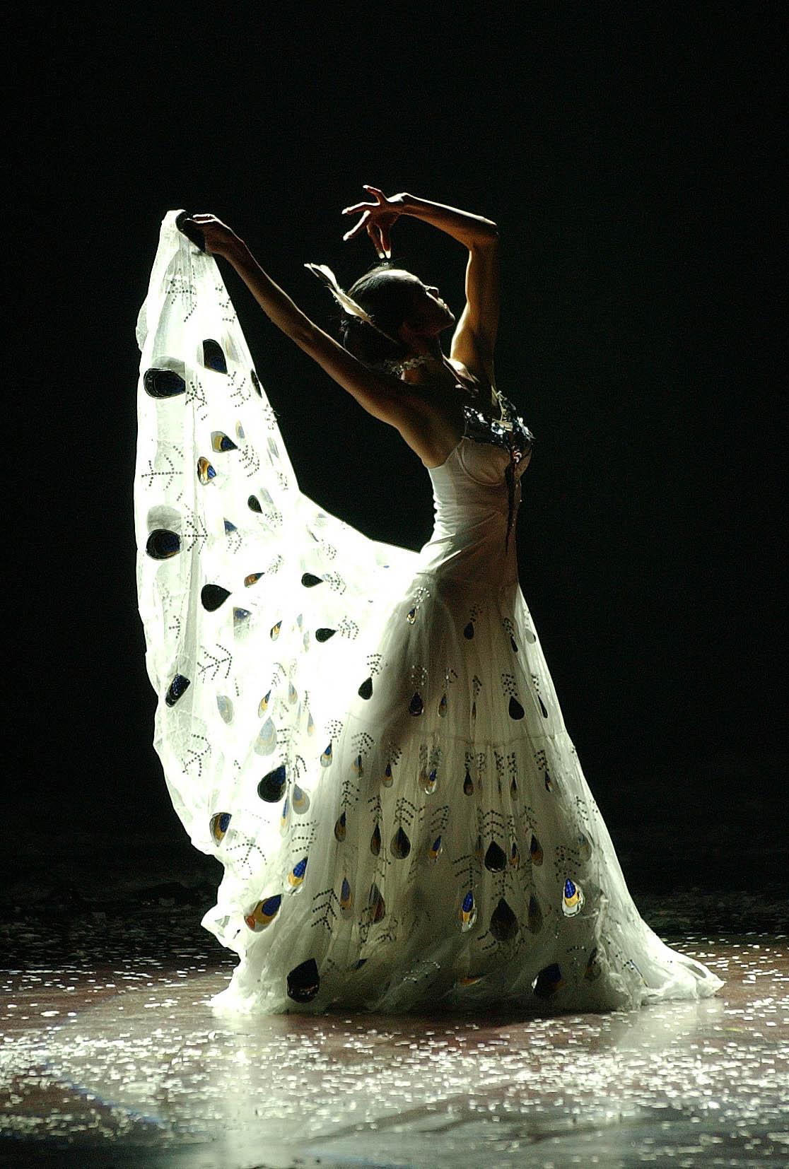 On November 29, 2003, "Image of Yunnan" was performed in Hangzhou. Visual China Data Map
