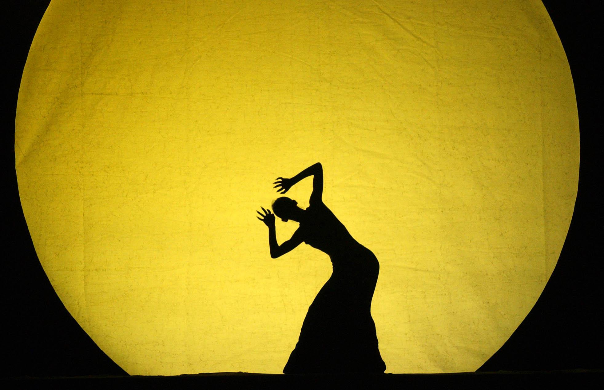 On November 29, 2003, "Image of Yunnan" was performed in Hangzhou. Visual China Data Map