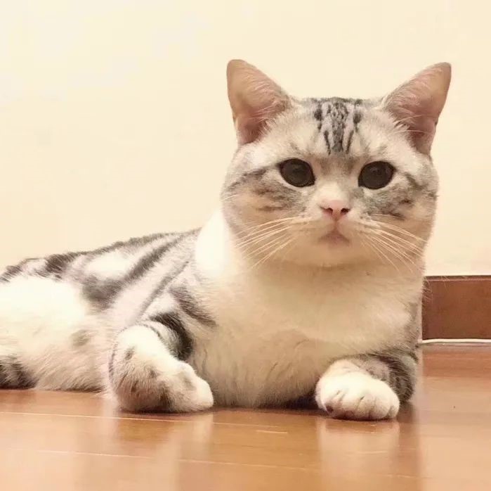 Nomi