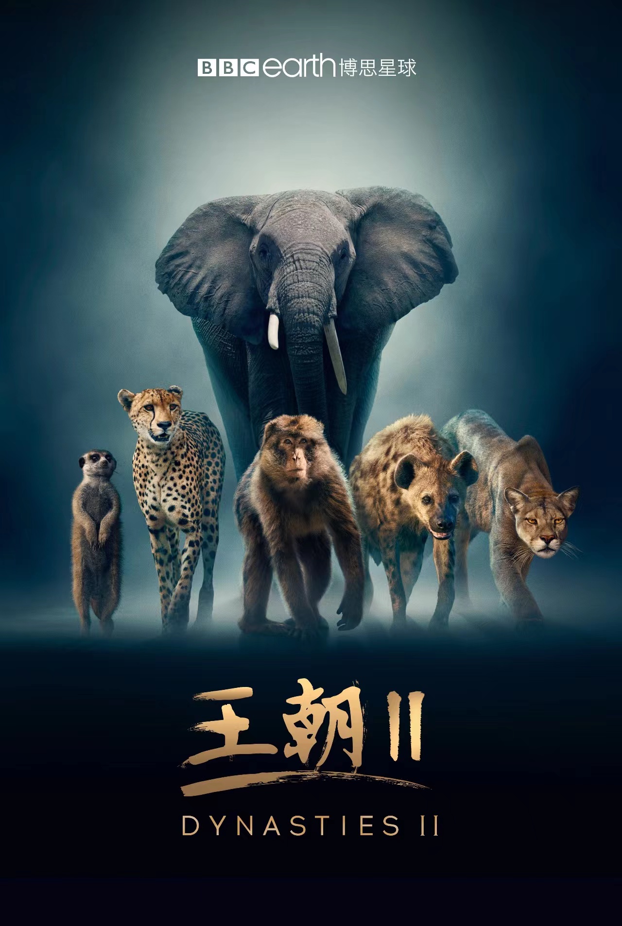 Dynasty II poster