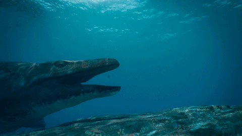Like whales, mosasaurs rely on lungs to breathe, and if they don't breathe for a long time, they will drown