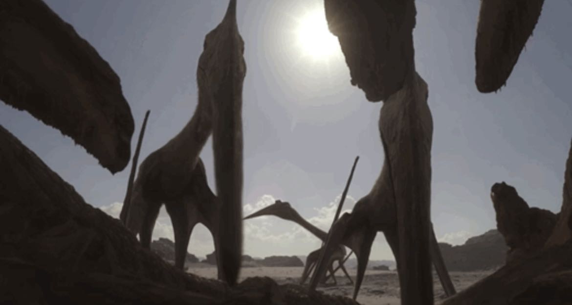 Simulated camera hides in carrion to film pterosaurs eating
