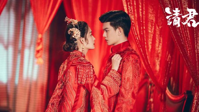 What to watch this week | "Little Forest" and "Please King" premiere, "Punishment" hits 10,000