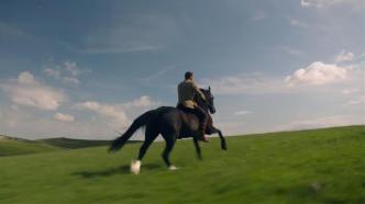 "All things and creatures 3": the "sweet drama" that enriches the blood of social animals