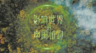 Science and Technology Daily Focus: Chinese science documentaries, how to move towards the future