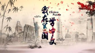 Documentary "I Learned Chinese in America": The Story Behind America's "Chinese Craze"