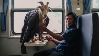 Visiting 100 villages in China, the opening of the documentary "Above the Fields" photography exhibition