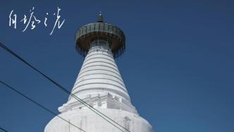 "The Light of the White Tower" debuted at the Berlin Film Festival, director Zhang Lu finally filmed in Beijing