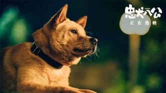 "The Faithful Dog Hachiko": It has been spoiled a long time ago, but it will still cry like a dog