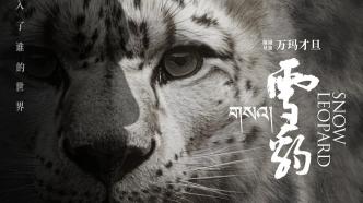 Snow Leopard: The sharpness and compassion that Wangma Caidan left to the world