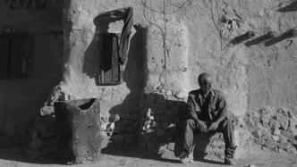Golden Goblet Award entry | "The Scavengers": Movies are an interpretation of reality