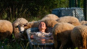 The list of nine honorary works of the 6th OUTDOCS Outdoor Image Carnival is released