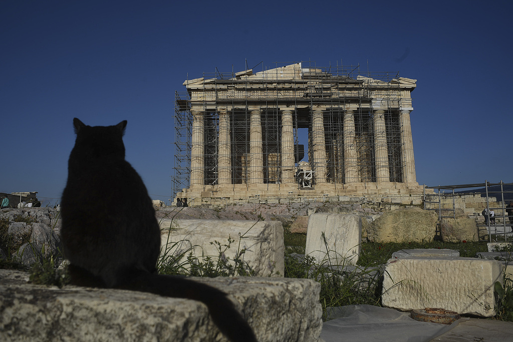 Lanthimos wants to film "Saving the Earth" at the Acropolis of Athens, Greek officials: values do not match