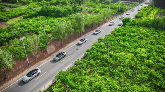 Guandianpai｜Before going overseas, learn to respect the local market order first