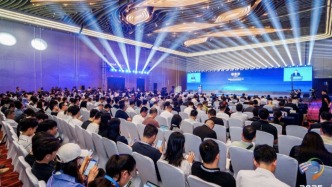 Zhu Huarong Flags Four Market Ills; Changan Offers Fixes