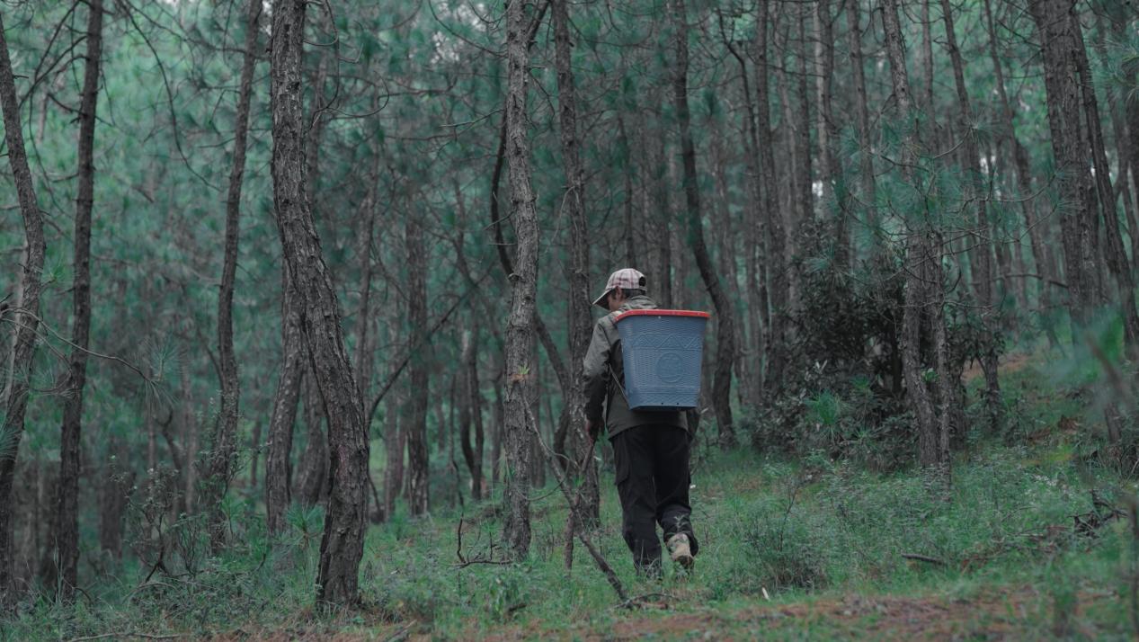 Beyond Single-Point Donations: SAIC MAXUS Empowers Rural Revitalization with "Industrial Blood-Making" and Establishes a Public Welfare Model for State-Owned Enterprises