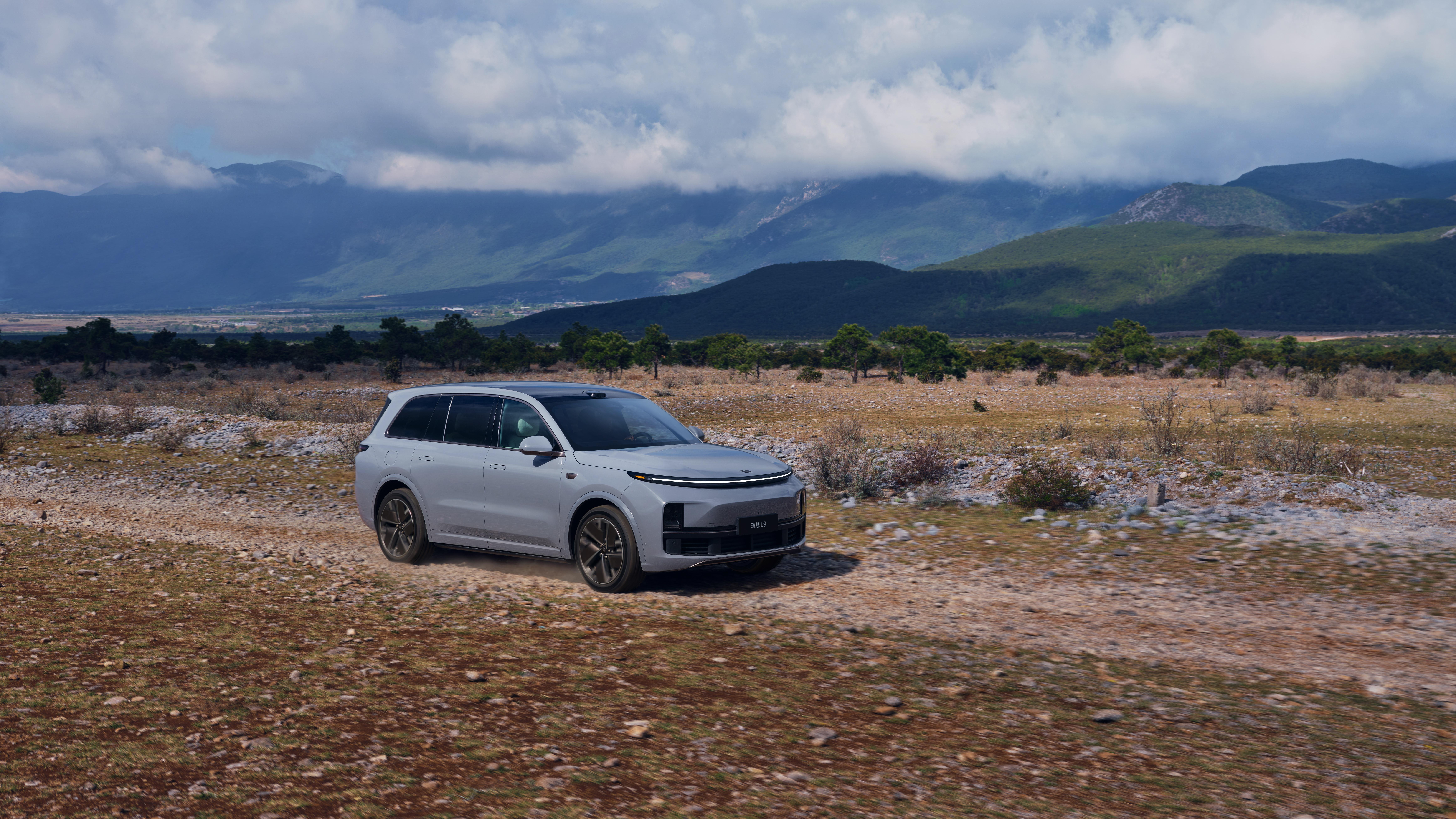 Li Auto Q2 2025: profit is not the finish line