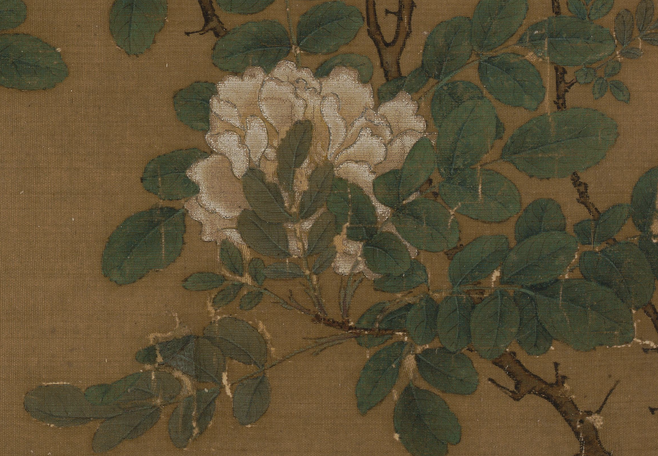 Song Ma Yuan's