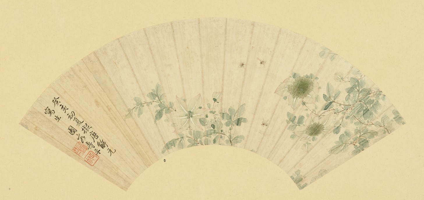 Qing Yun Shouping Passionflower