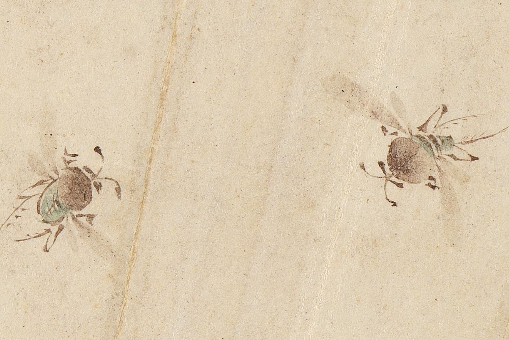 Qing Yun Shouping Passiflora (partial bee)