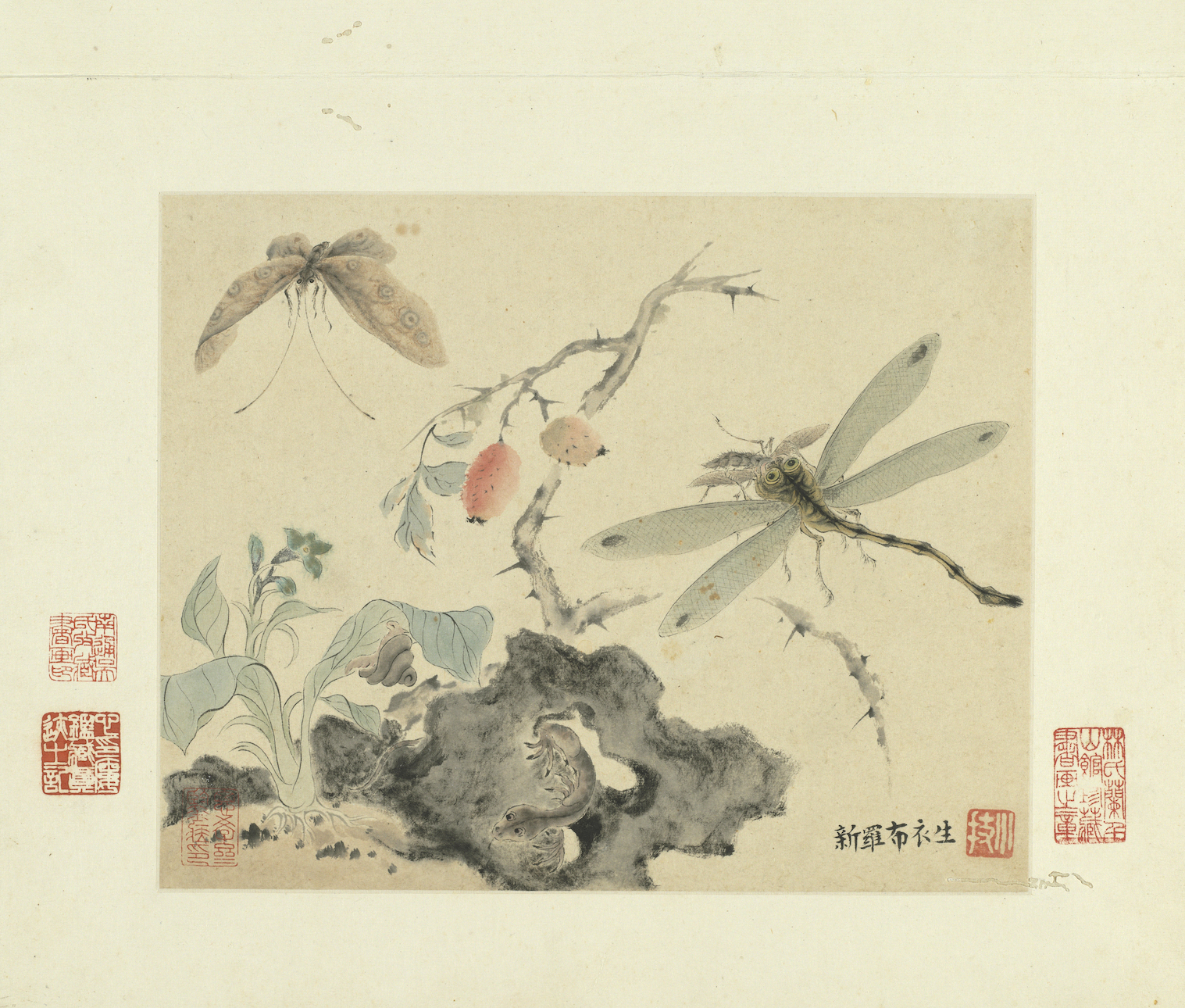 Tsinghua Rock Grass and Insect