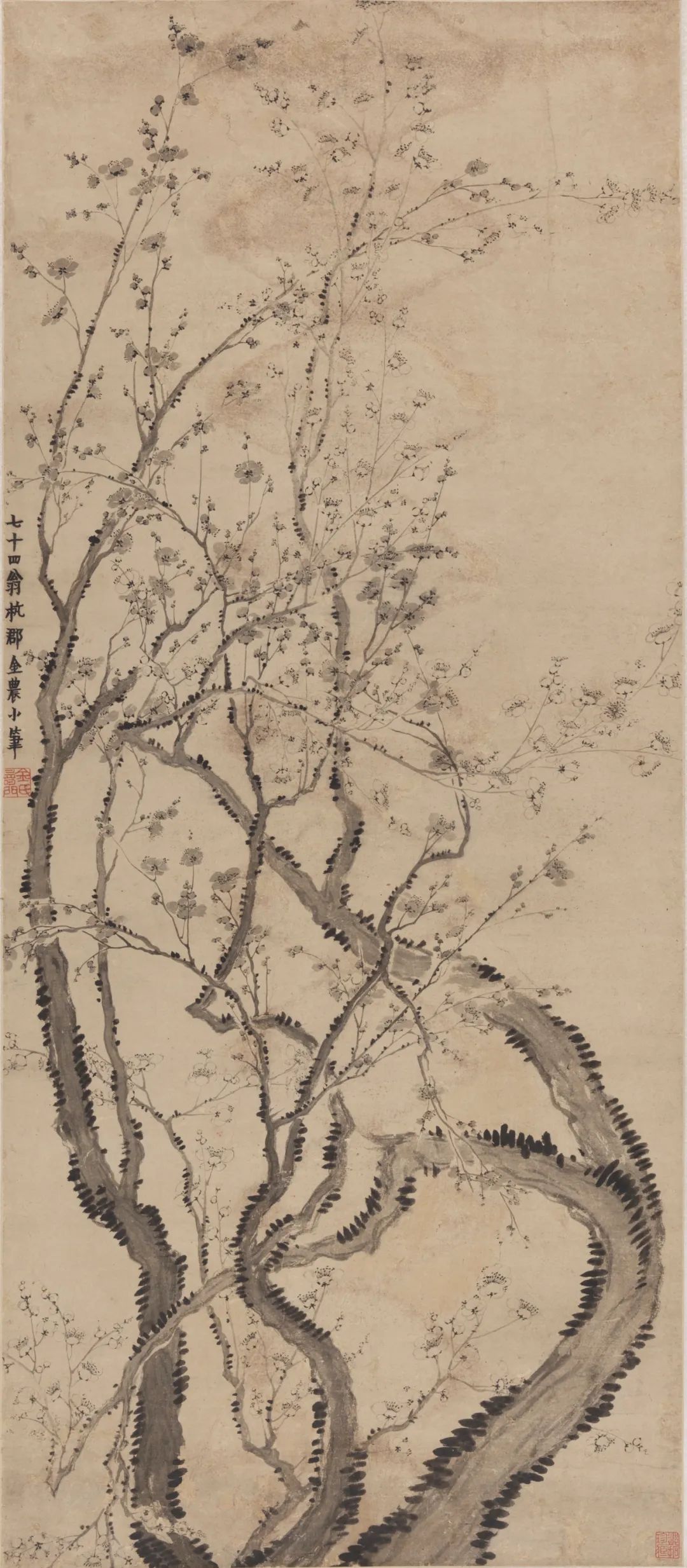 Qing Jinnong's 
