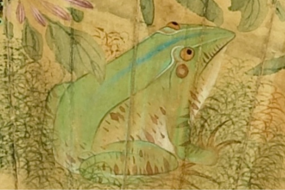 Ming Ye Fang grass insect (partial)