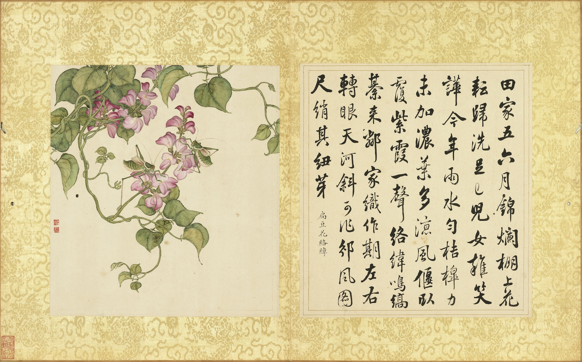 Qing Jiang Tingxi Douhua Luowei