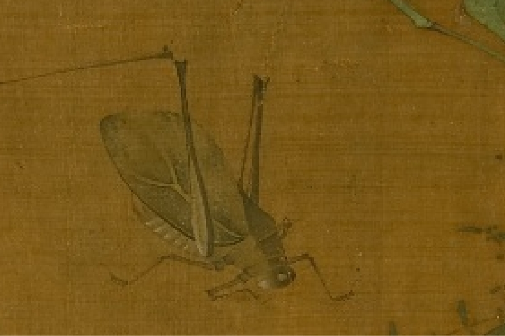 Biography of Song Huang Jucai Grass and Insect (Part)