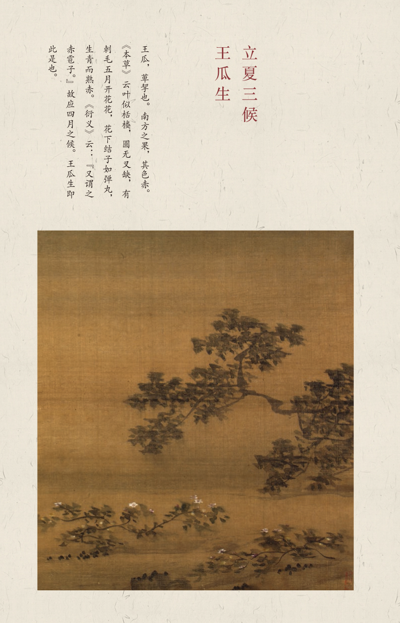 Ming Dynasty album