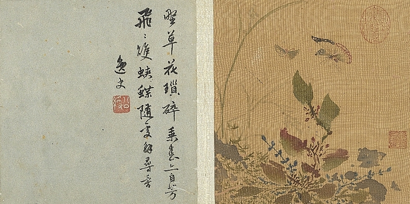 Ming Sun Long Nymphalus