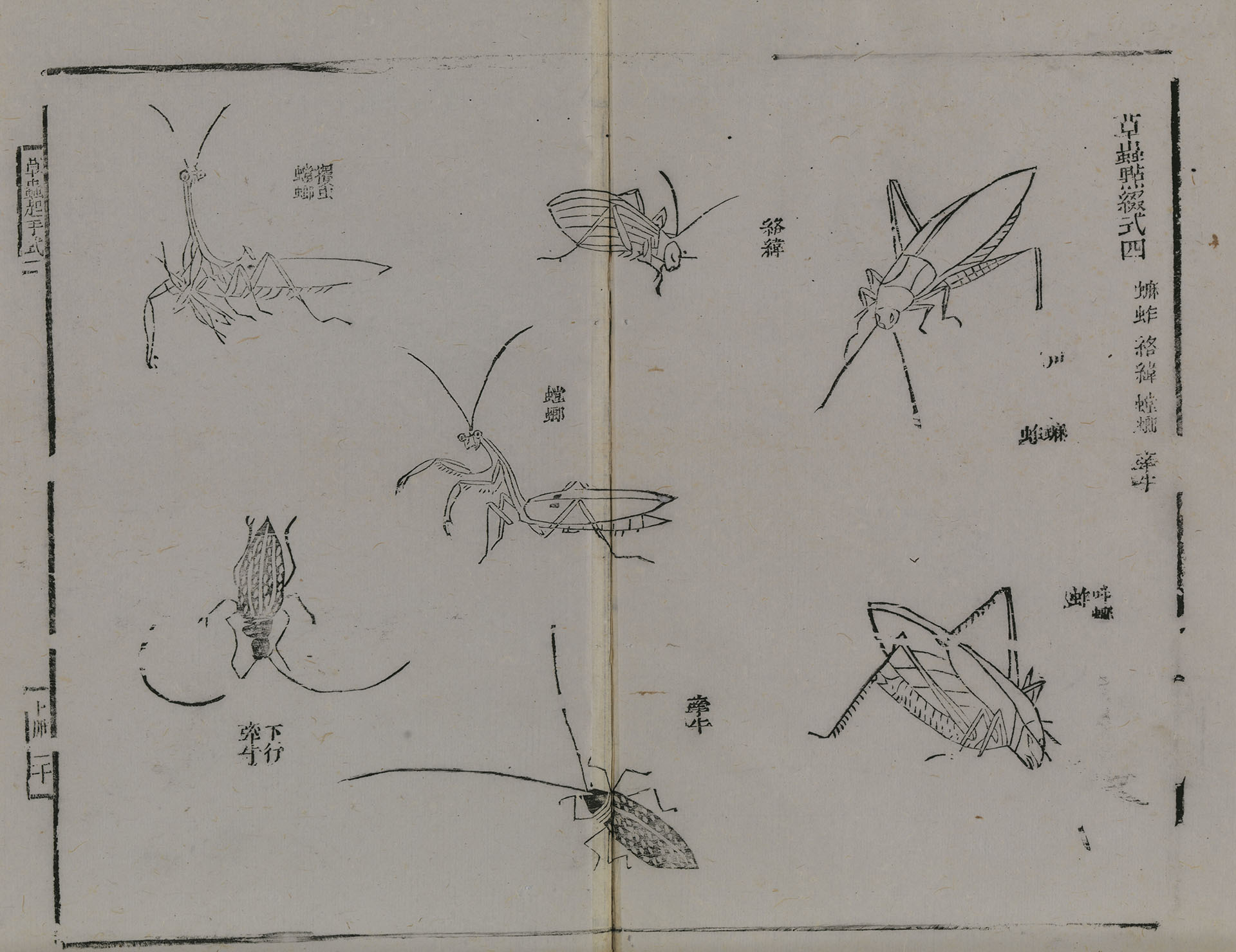 Qing Dynasty Wang Gai Paintings of Mustard Seed Garden