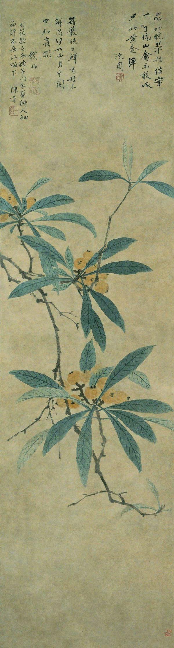Ming Shen Zhou's