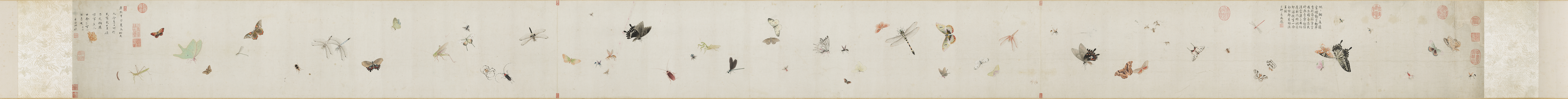 A Hundred Butterflies in Qingyu Province