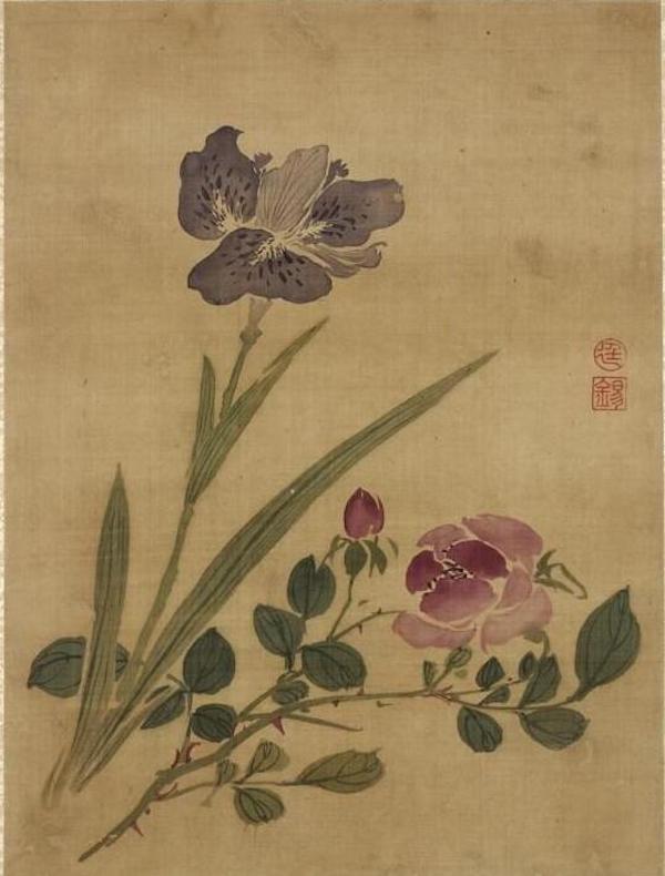 Tail with Rose