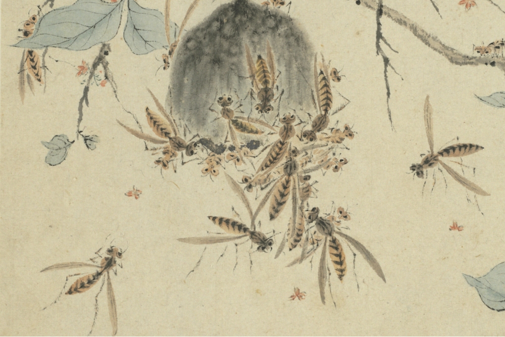 Tsinghua Rock Beehive (Partial)