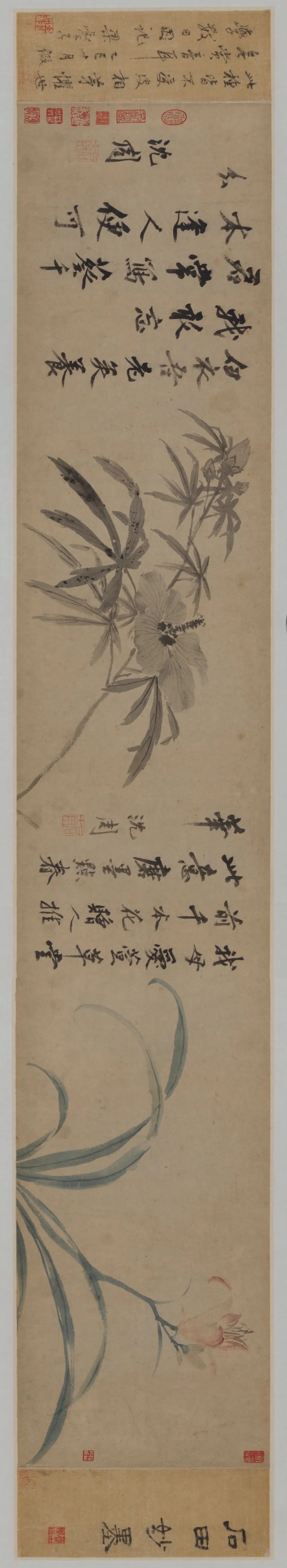 Ming Shen Zhou's 