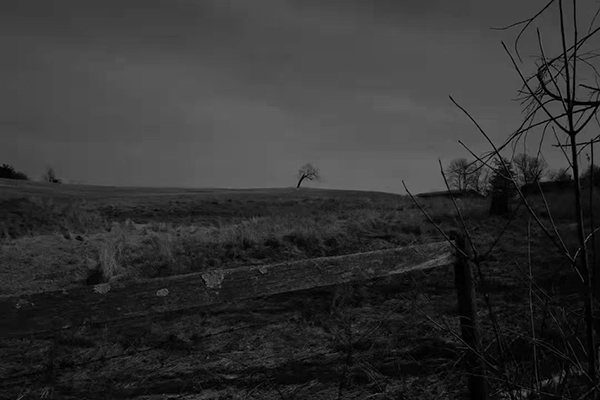 Yu Jian Photography