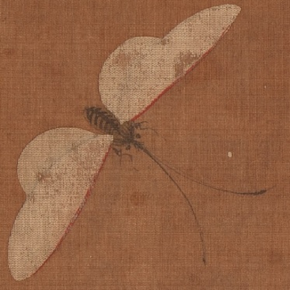Biography of the Five Dynasties, Xu Xi, Flowers, Insects and Insects (Partial)