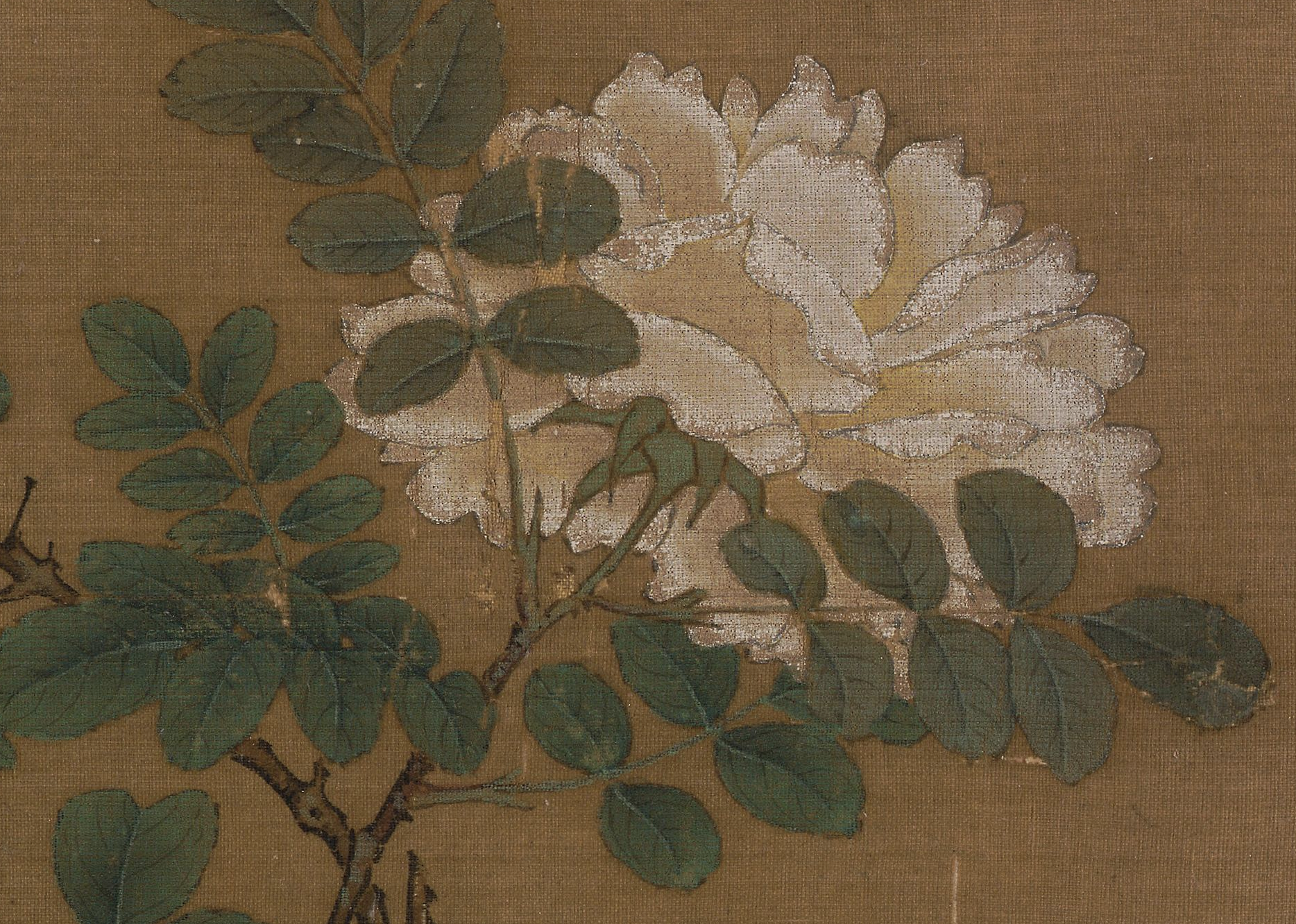 Song Ma Yuan's