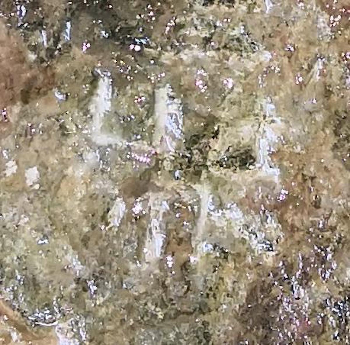 Figure 6: Suspected Jinwen 