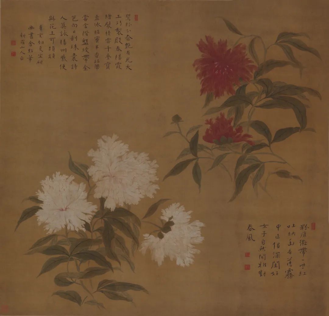 Tsinghuayan 